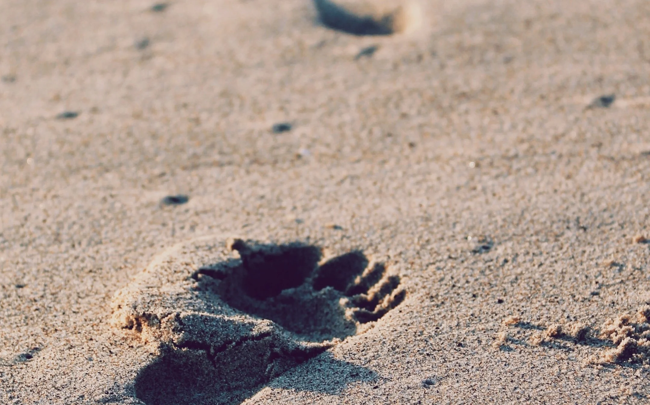 Footsteps